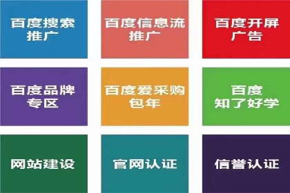 百度竞价SEM策略解析：某品牌广告成功的关键因素